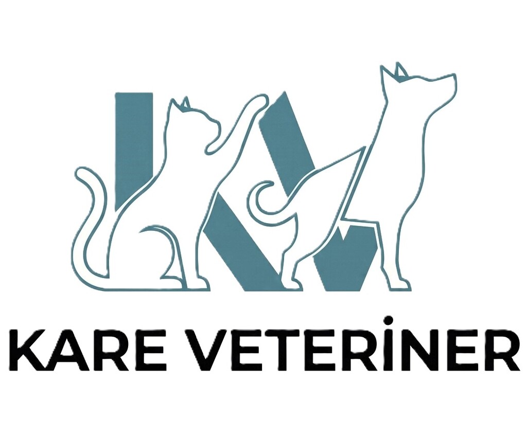 kareveteriner.com.tr